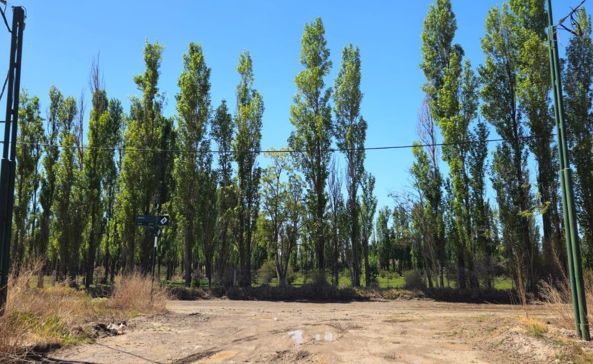 Venta Lote 360 m² - Bº Rincón del Sol - Fernandez Oro 4