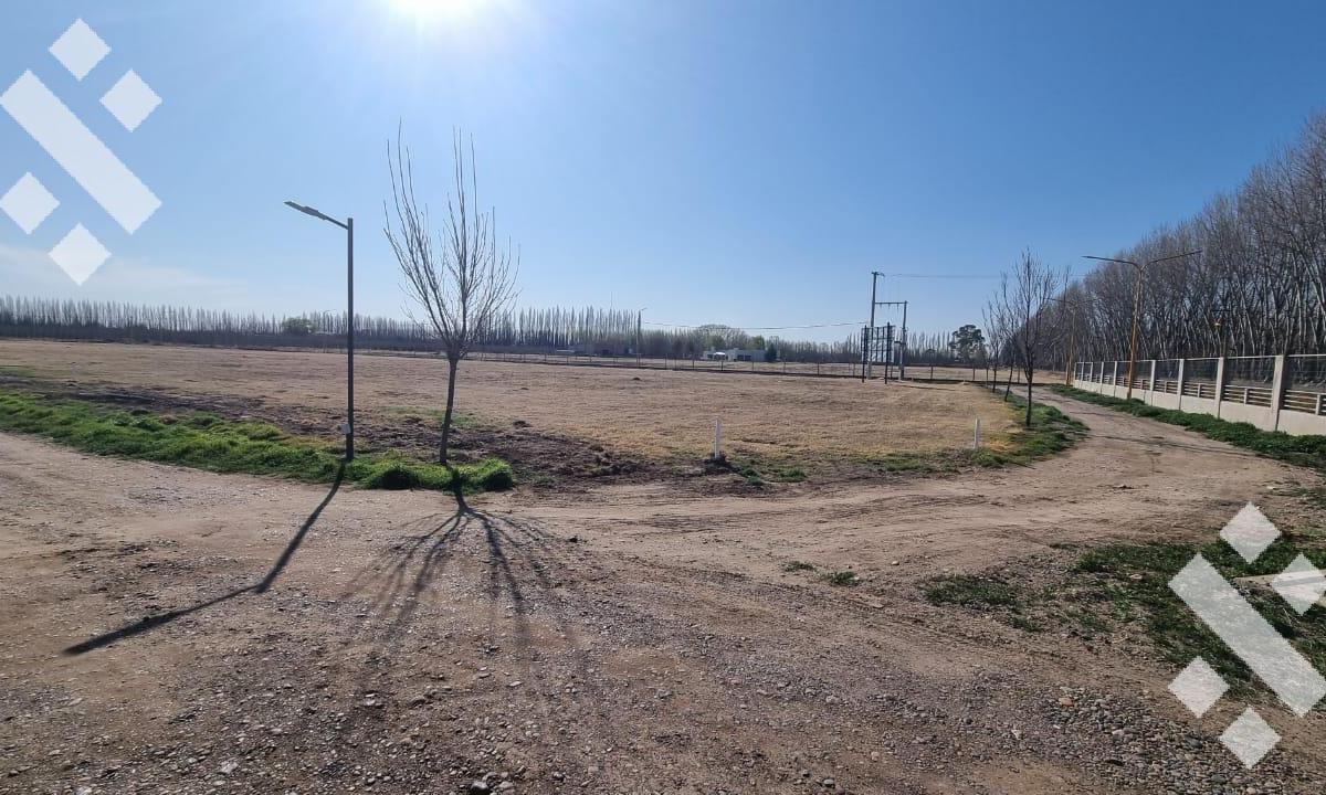 Terreno en Venta Villa Regina 5