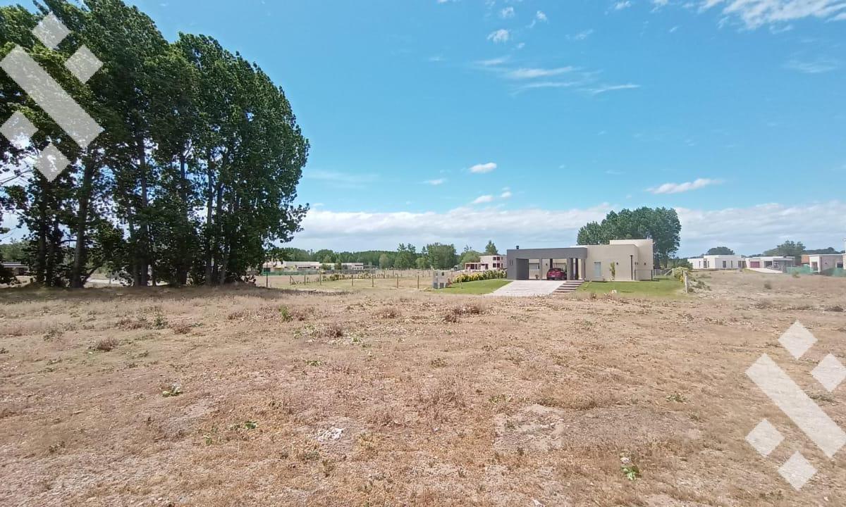 Venta Lote 1100 m² en Los Canales de Plottier 2