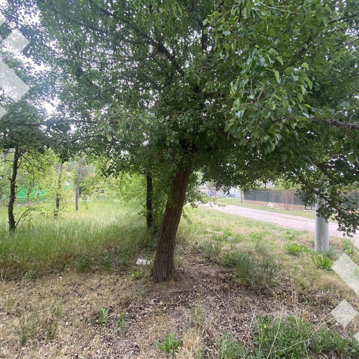 Terreno en Barrio Ecor 1 Plottier 3