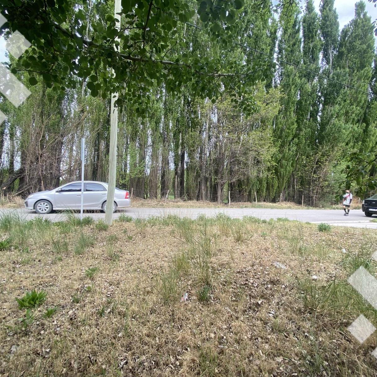 Terreno en Barrio Ecor 1 Plottier 2