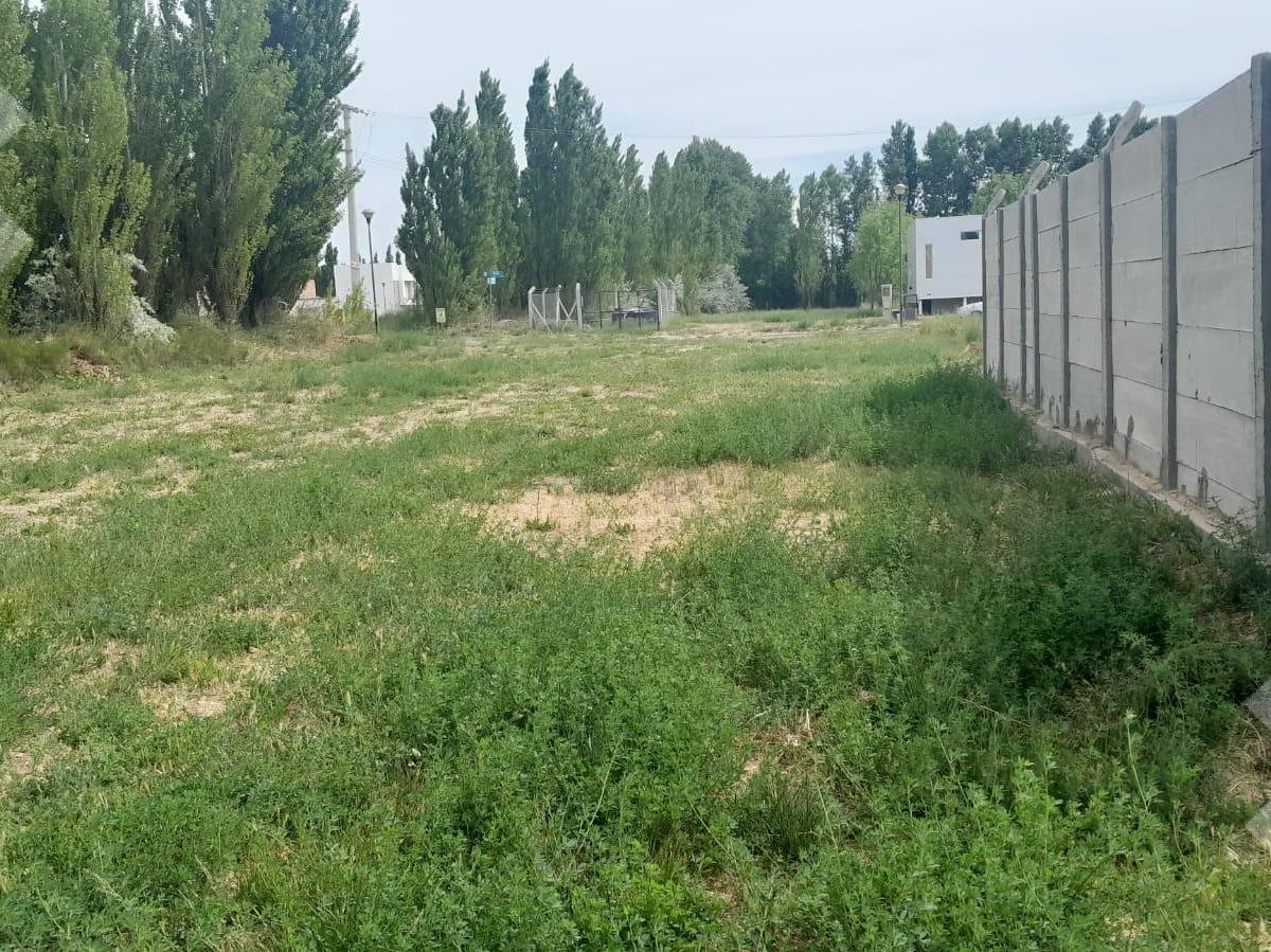 Venta Lote 450 m² - B° Villa Clementina, Fdez. Oro 3