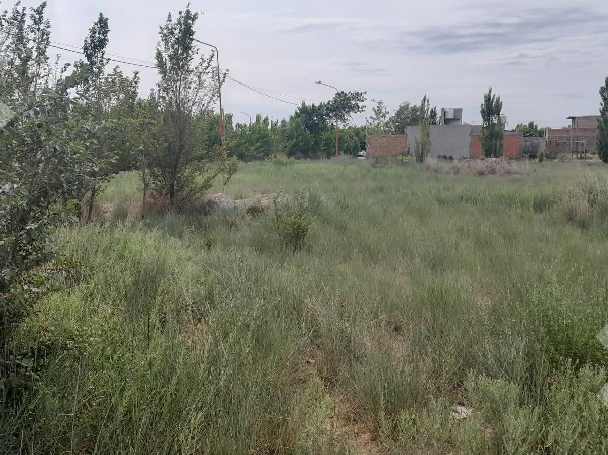 Terreno en General Fernandez Oro 2