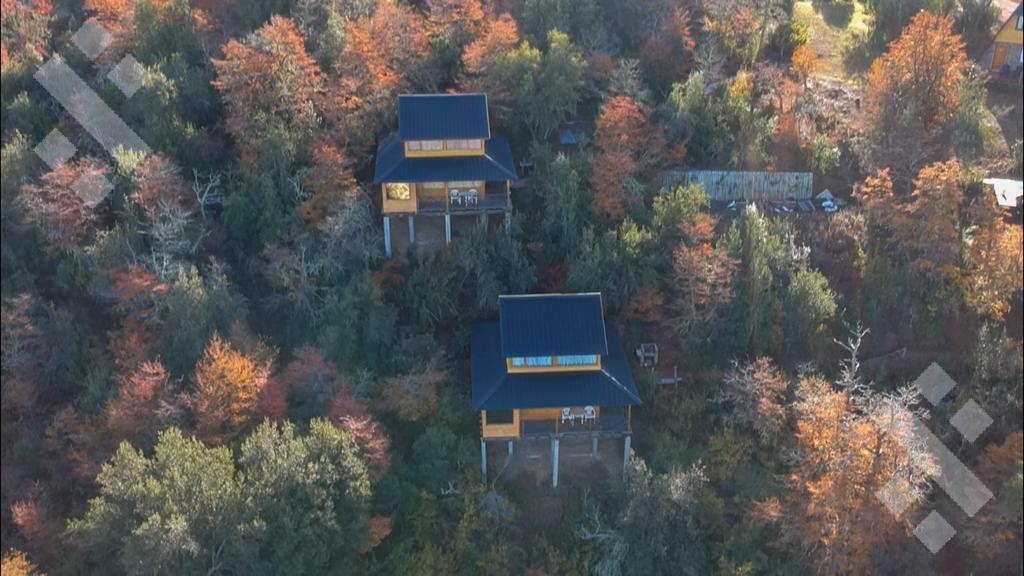 Venta Complejo de Cabañas - Villa Pehuenia - Patagonia Argentina 2