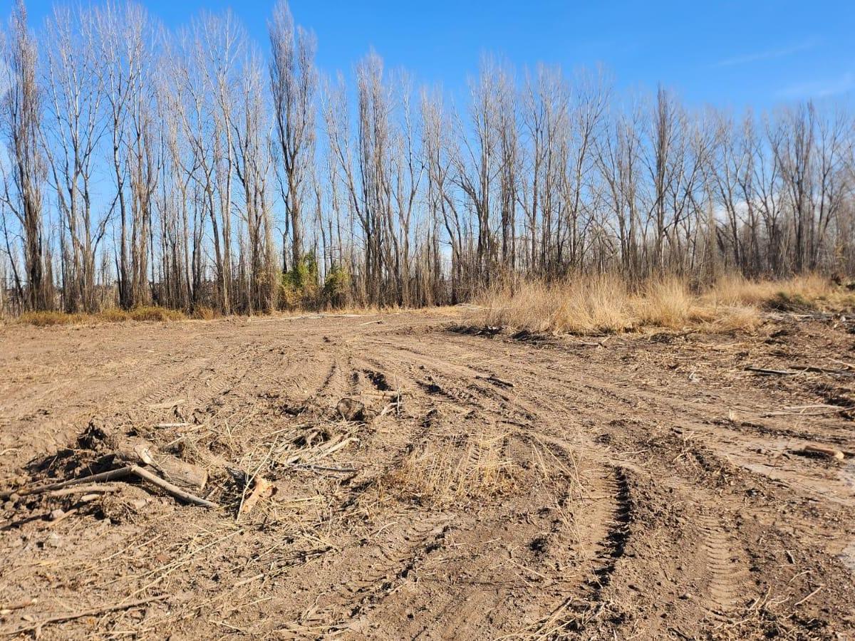 Venta Lote "Pioneros" 360 m² - Plottier - Neuquén 3