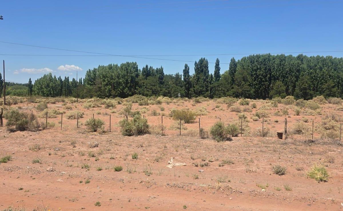 Venta Lote 10.110 m² Frente Rp7 - Loteo La Lonja - Añelo 5