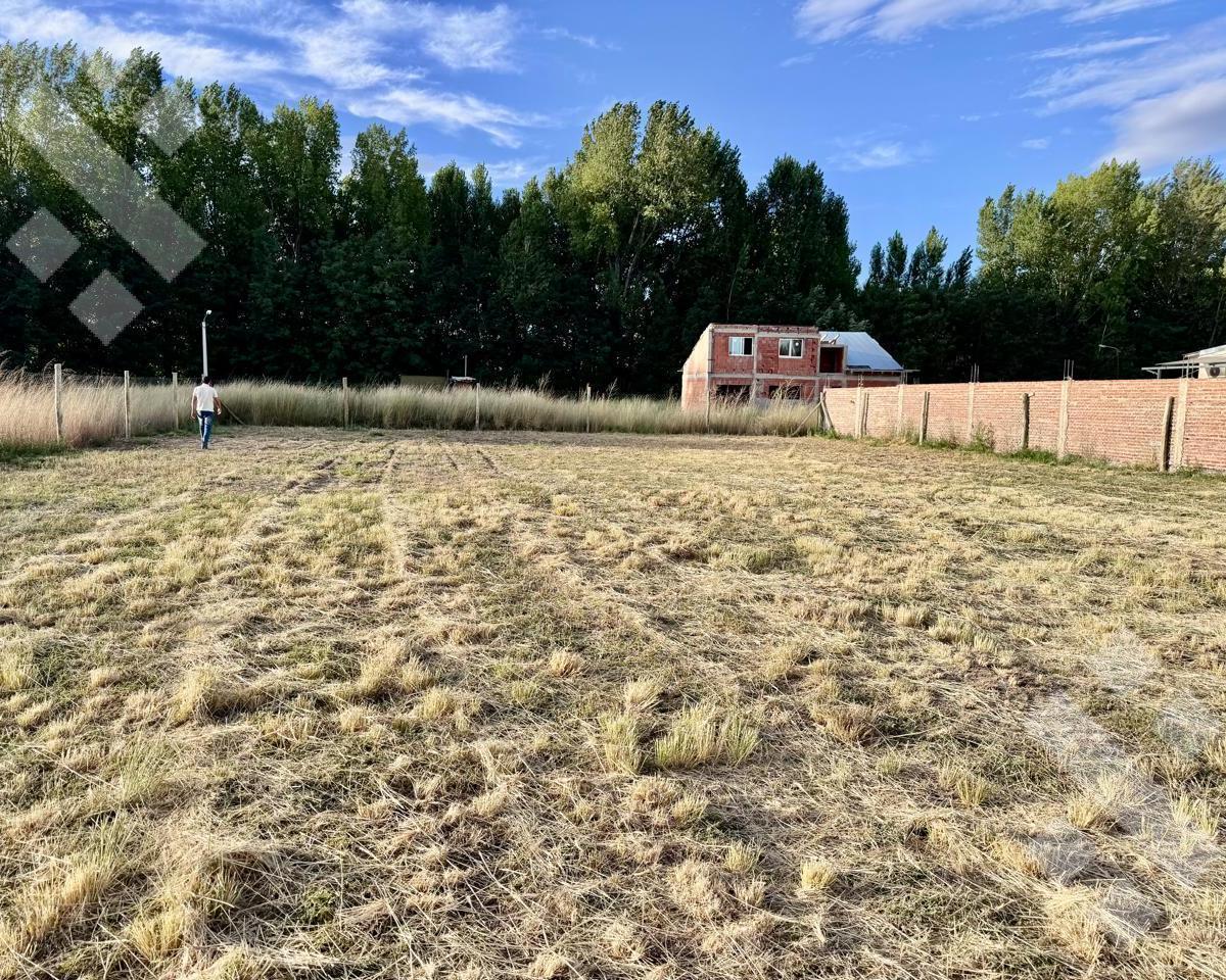Terreno en Barrio Fideicomiso I de Plottier 5