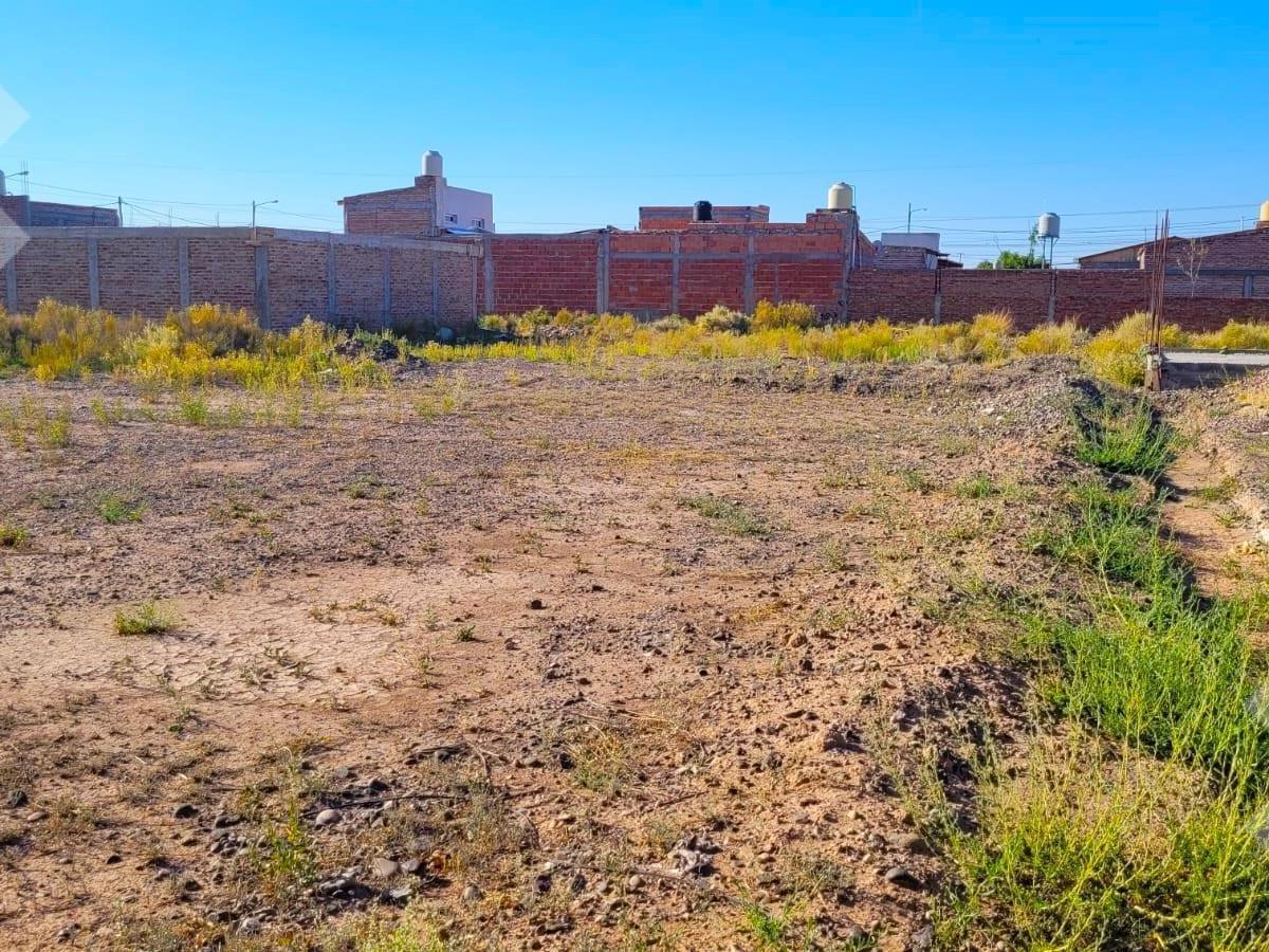 Venta Lote 300 m² - Distrito Vecinal Noreste, Cipolletti 5