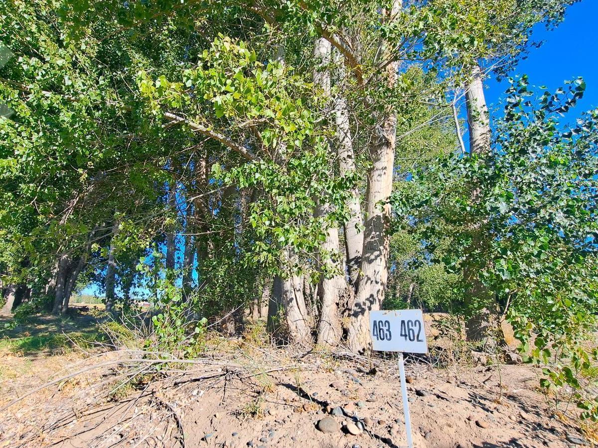Venta Lote en Canales de Plottier, con Fondo de Cancha y Vista de Lagunas 4