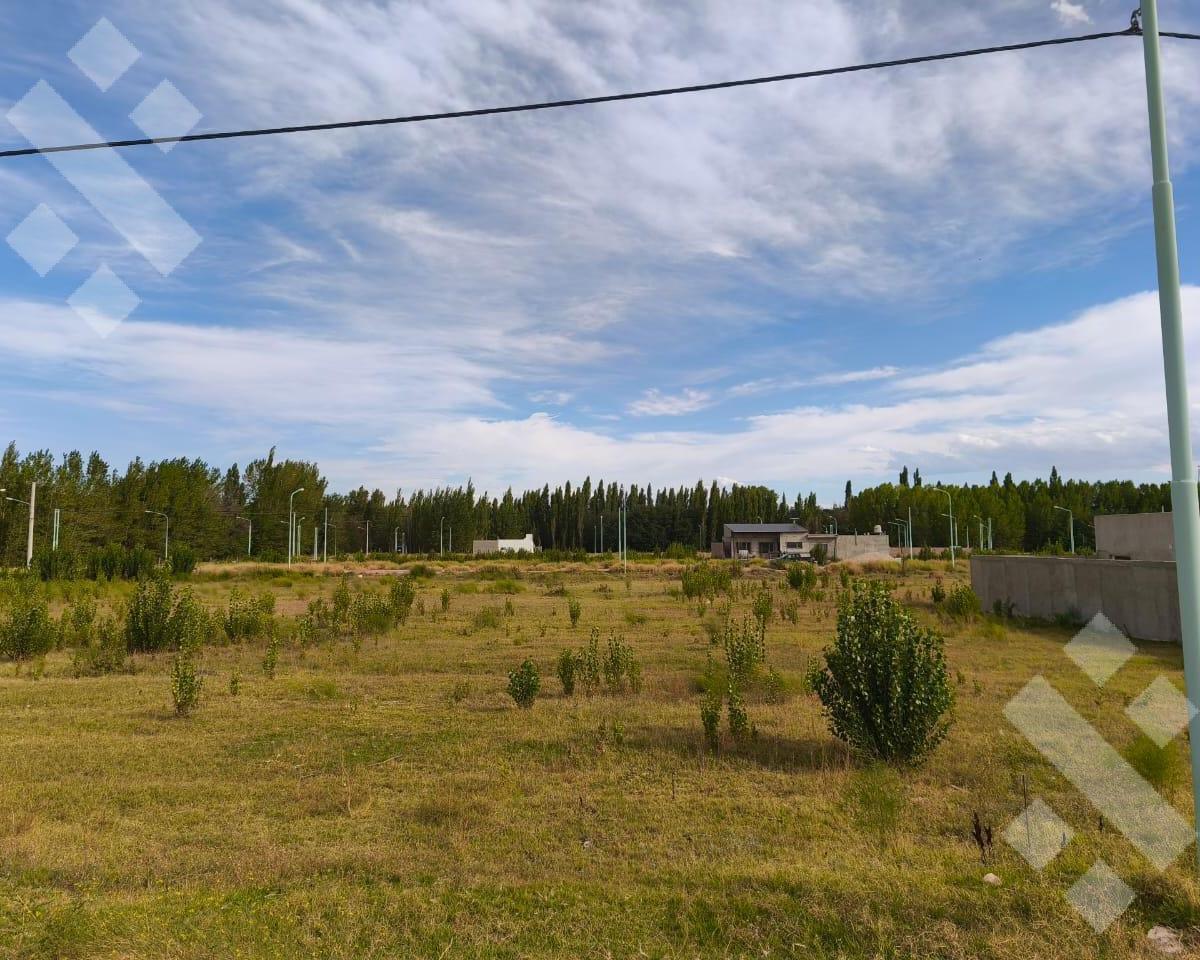 Venta Lote 500 m² - Bº Jardines de Plottier - Neuquén 3