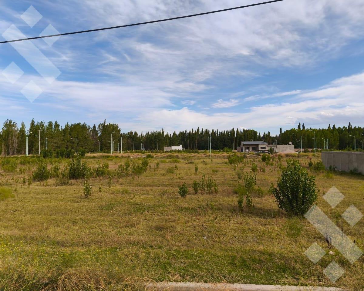 Venta Lote 500 m² Bº Jardines de Plottier - Neuquén 2