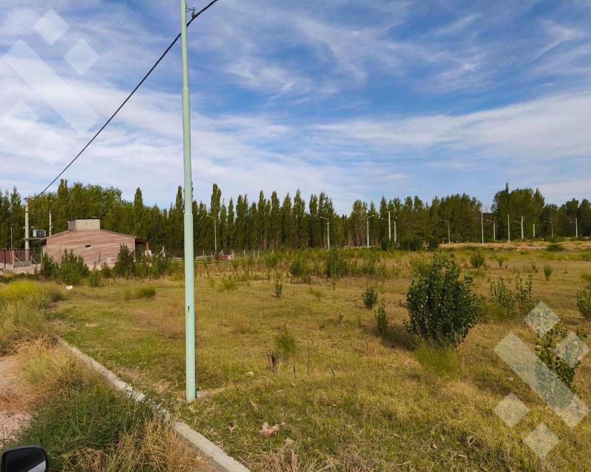 Venta Lote 500 m² Bº Jardines de Plottier - Neuquén 3