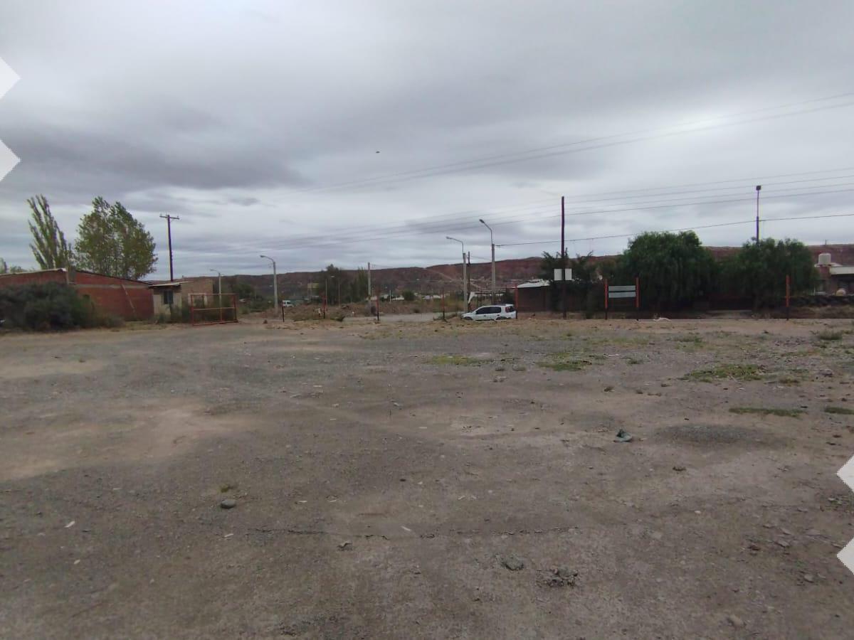 En Alquiler, Tinglado y Oficina Sobre Calle Godoy. 3