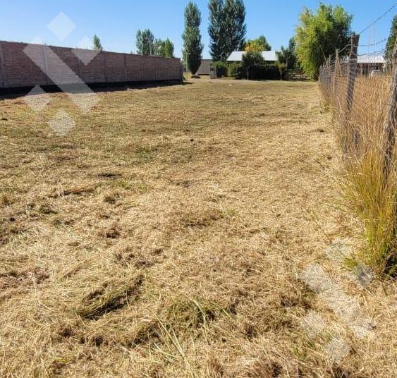 Venta, Terreno de 600 m², B° Los Castaños, Plottier 4