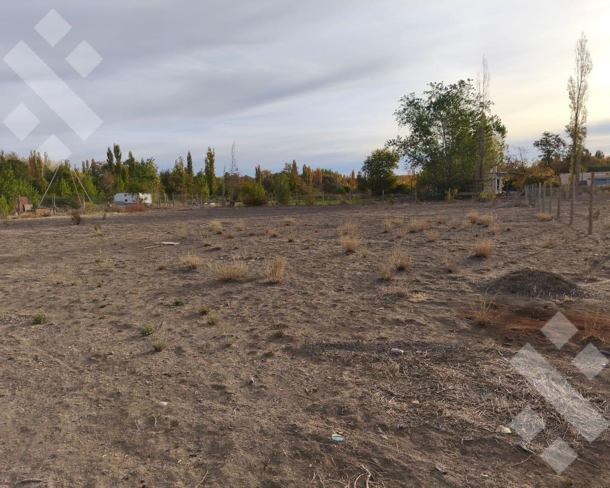 Venta Lote 1000 m² Bº Cerrado Rincón de Natalia - Plottier 3