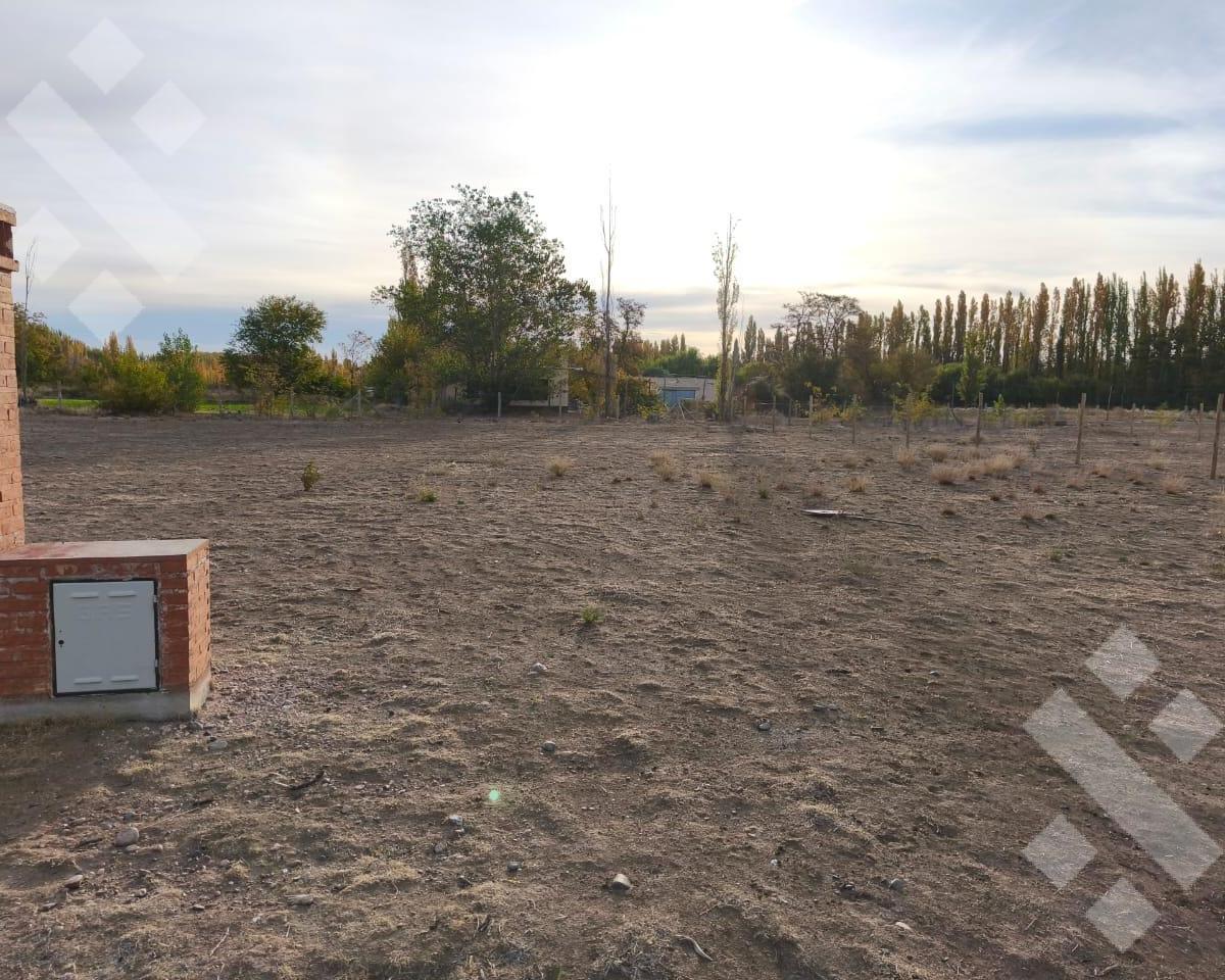 Venta Lote 1000 m² Bº Cerrado Rincón de Natalia - Plottier 5