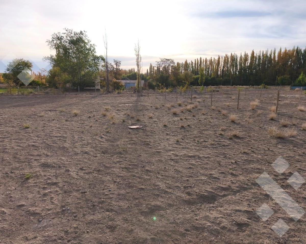 Venta Lote 1000 m² Bº Cerrado Rincón de Natalia - Plottier 4