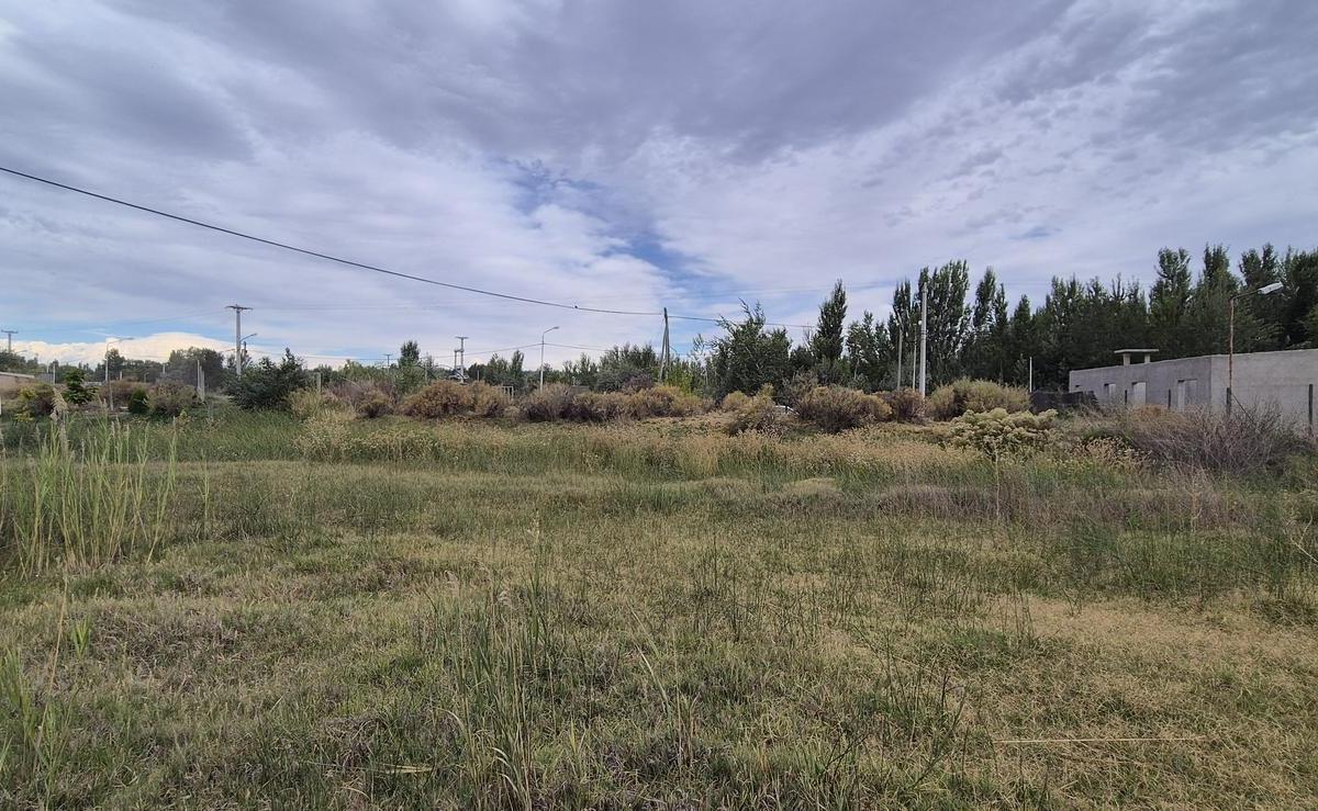 Venta - Lote 2000 m² - La Herradura, Plottier, Neuquén. 4