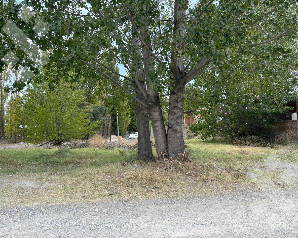En Venta, Lote de 494 m², B° Villa Lida, Plottier 5