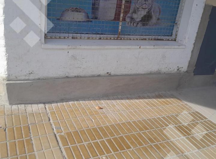 Vendo Local Comercial en el centro de Cipolletti, Rio Negro 2