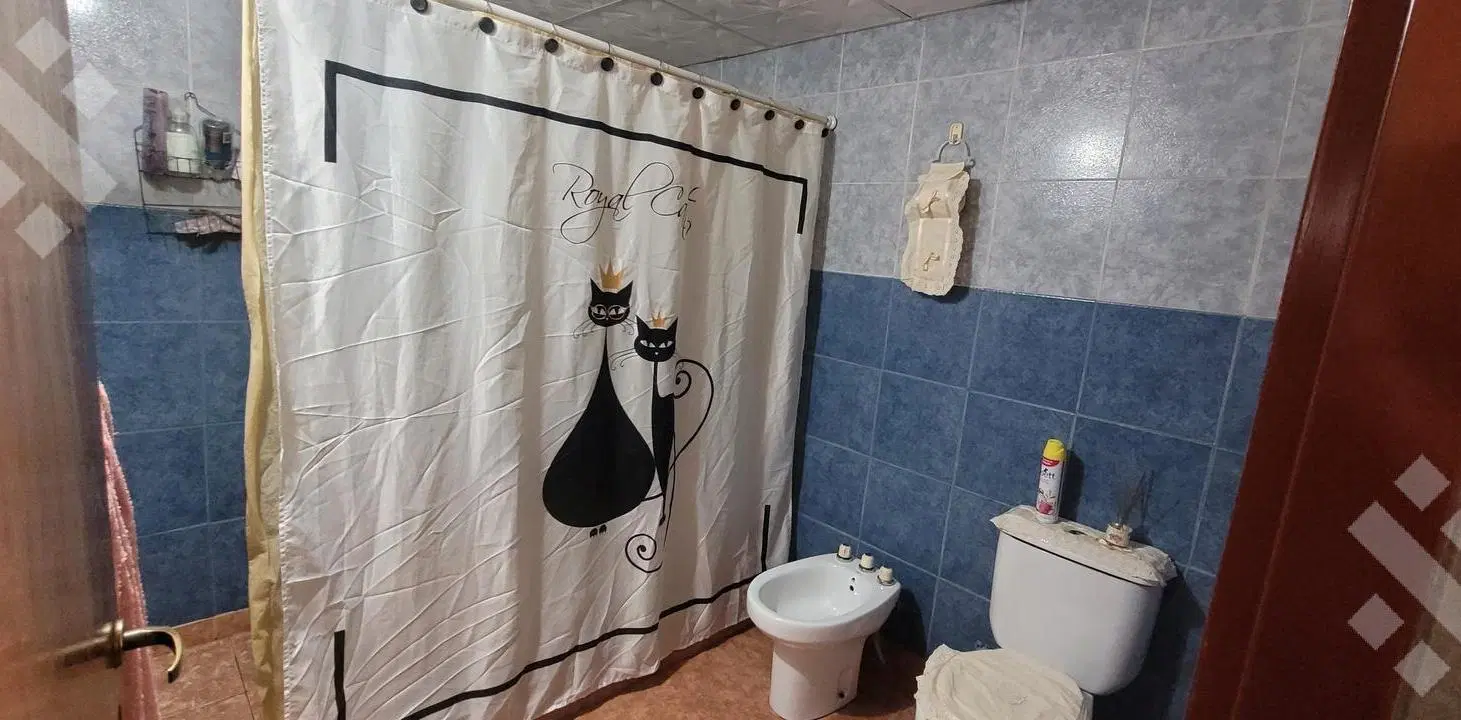 Venta Casa 2 Dormitorios   Departamento 1 dorm. Centenario 8