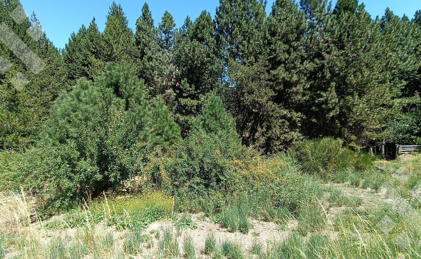 Venta lote 852 m2 - Barrio Ruca Hue - San Martin de los Andes