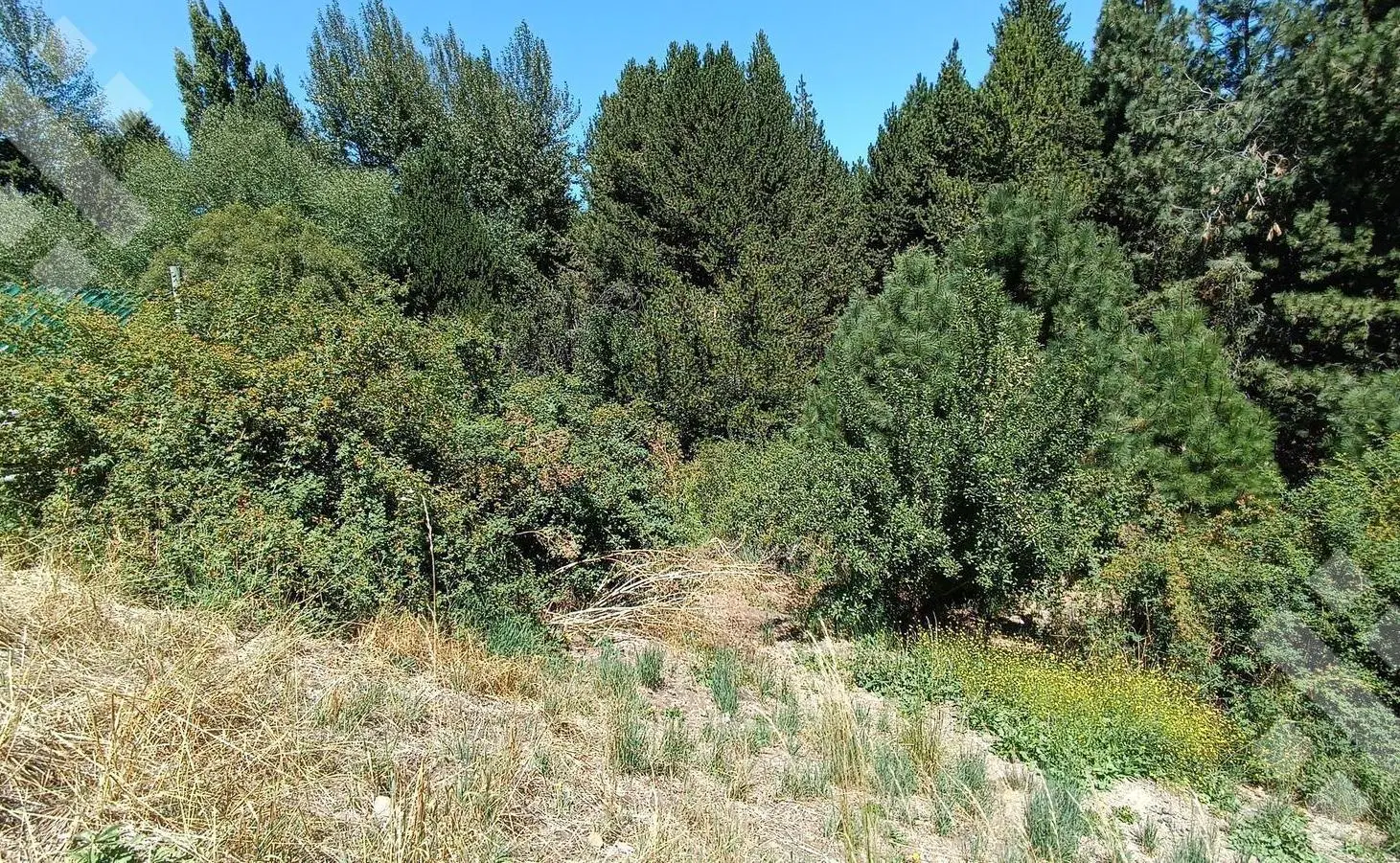 Venta lote 852 m2 - Barrio Ruca Hue - San Martin de los Andes 8