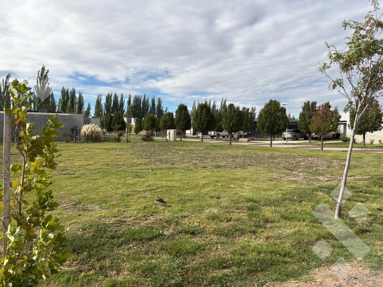 Terreno en Cipolletti 3