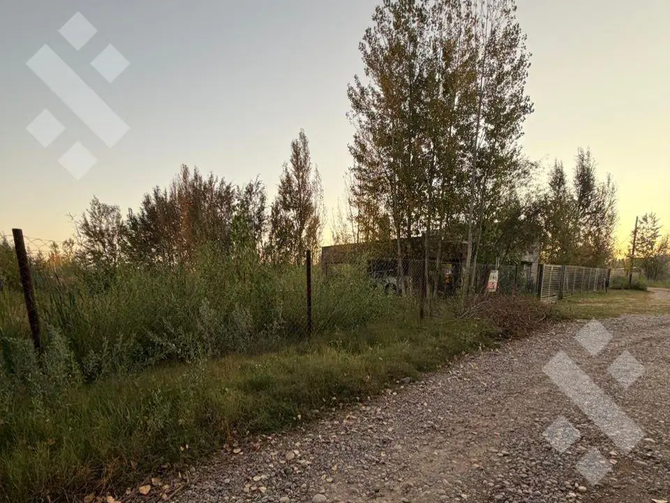 En Venta | Lote de 1053 m2 | Barrio Los Patos | Plottier 2