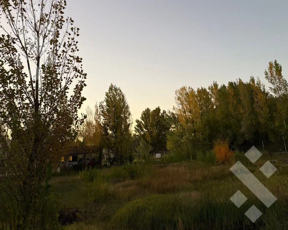 En Venta | Lote de 1053 m2 | Barrio Los Patos | Plottier 5