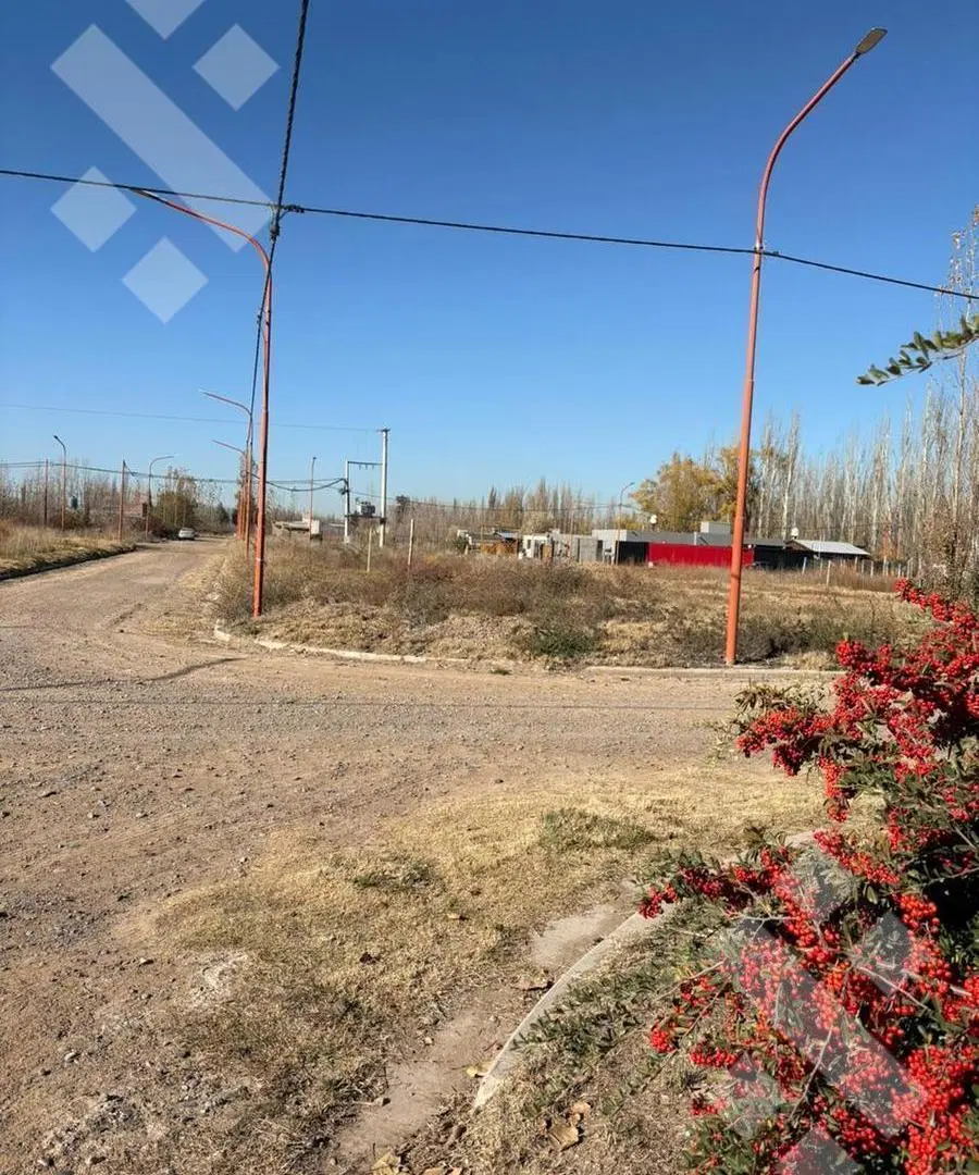 Terreno en Cinco Saltos 3