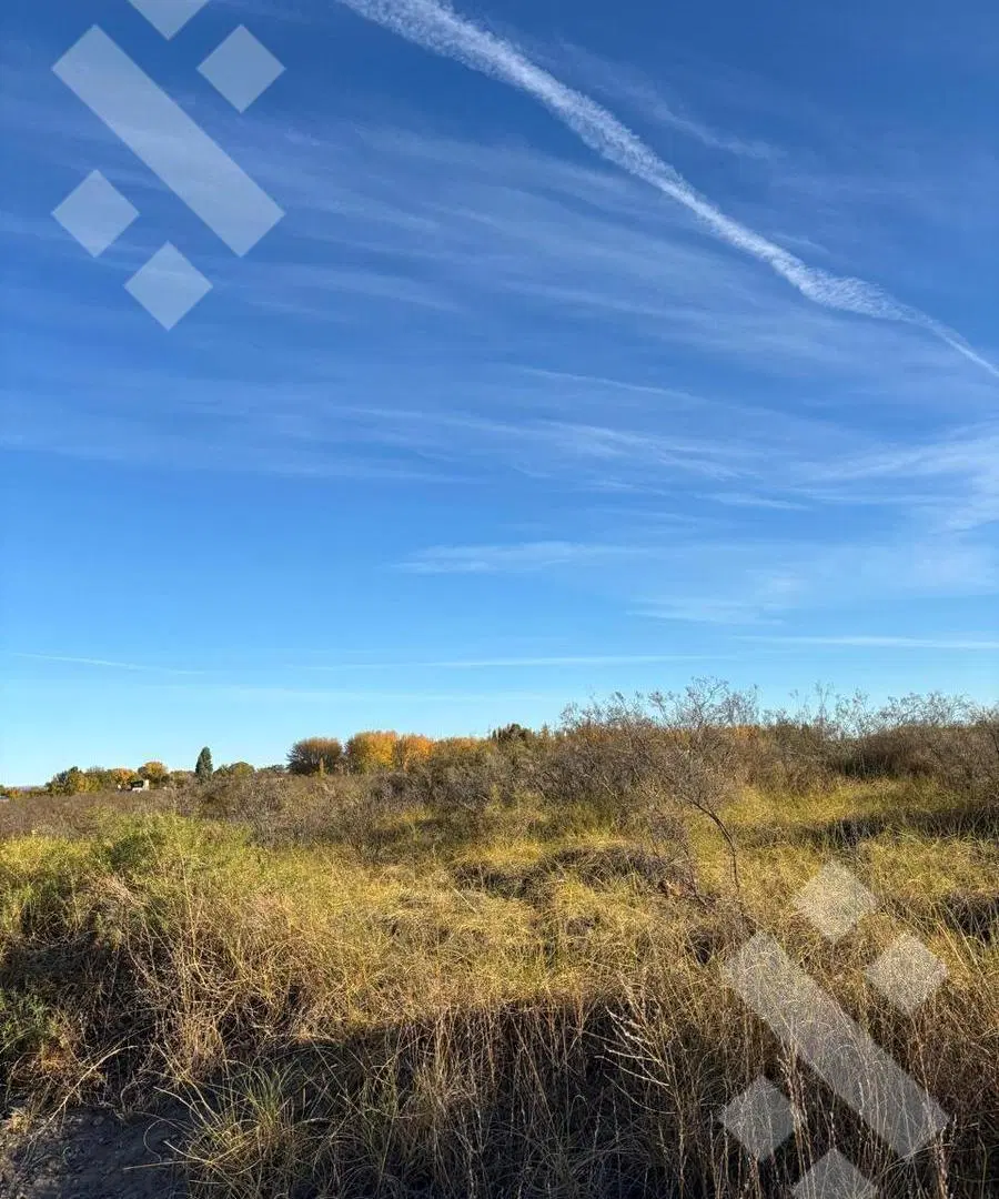 VENTA LOTE 300m2 - ARROYITO, CHINA MUERTA 3