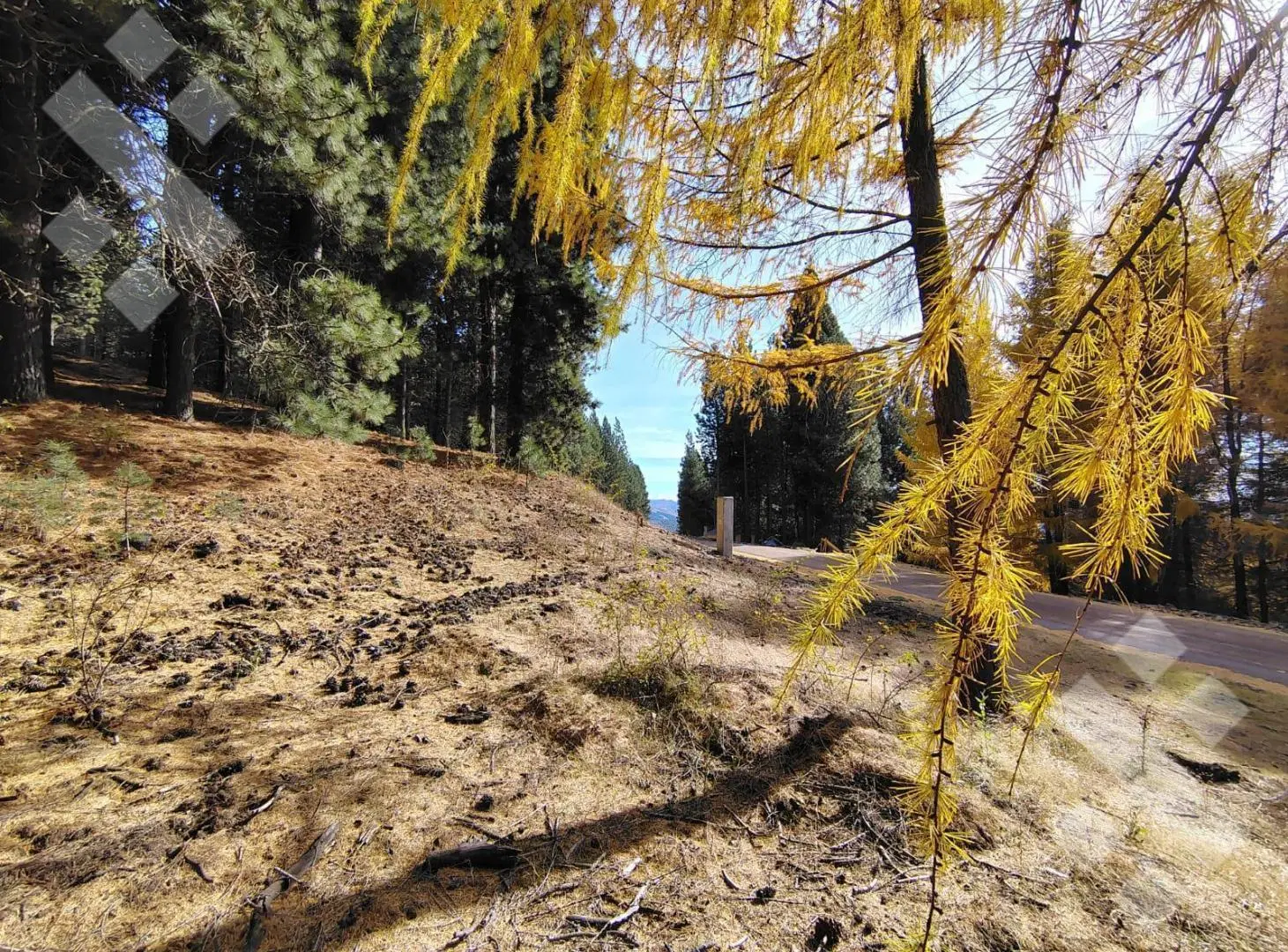 Venta lote 1300 m2 - Barrio Cerrado El Remanso - San Martin de los Andes 5