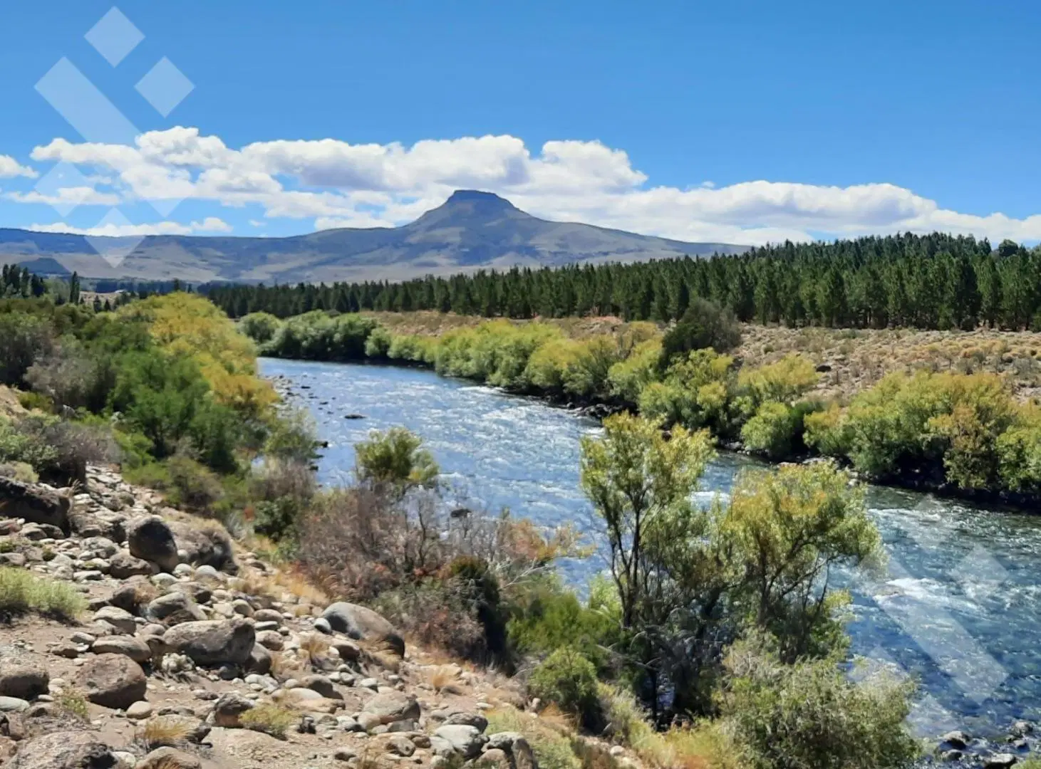 Venta Terreno Huechulafquen 5000m2 - Huiliches - Junin de los Andes 7