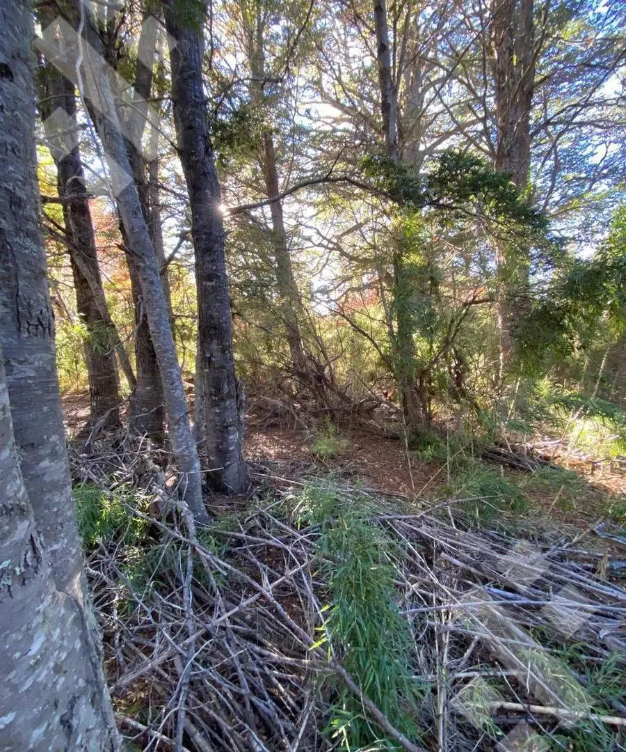 VENTA Terreno Kaleuche 600m2 5