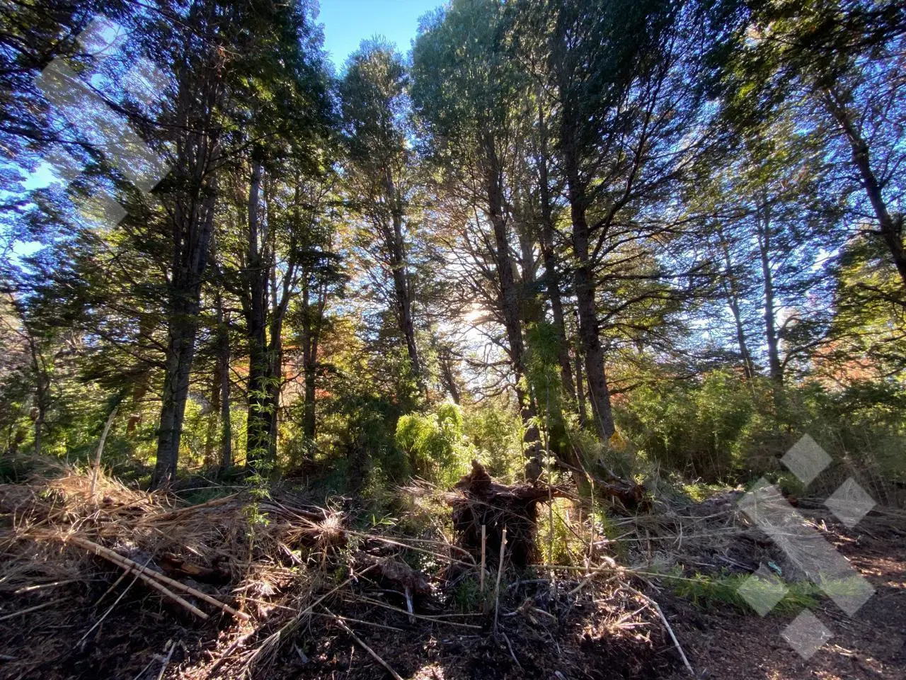 VENTA Terreno Kaleuche 600m2 2