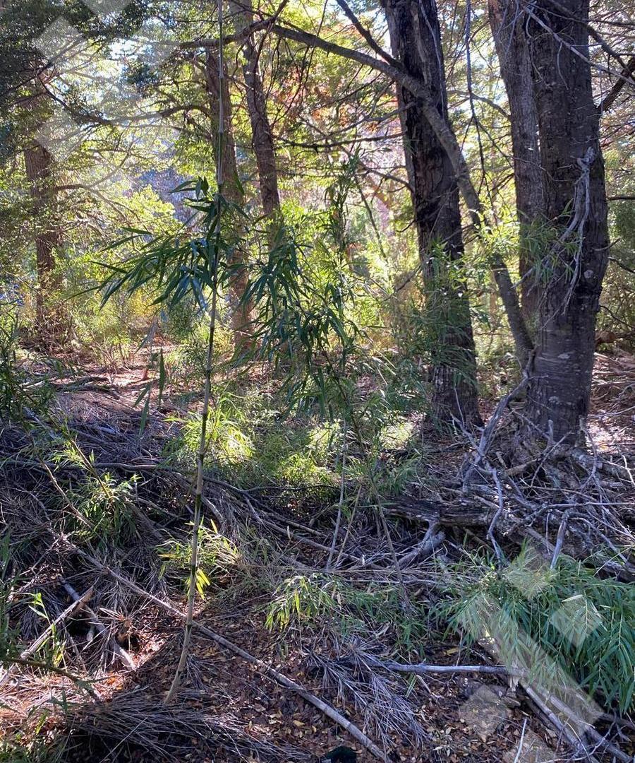 Foto de VENTA Terreno Kaleuche 600m2, imagen 1