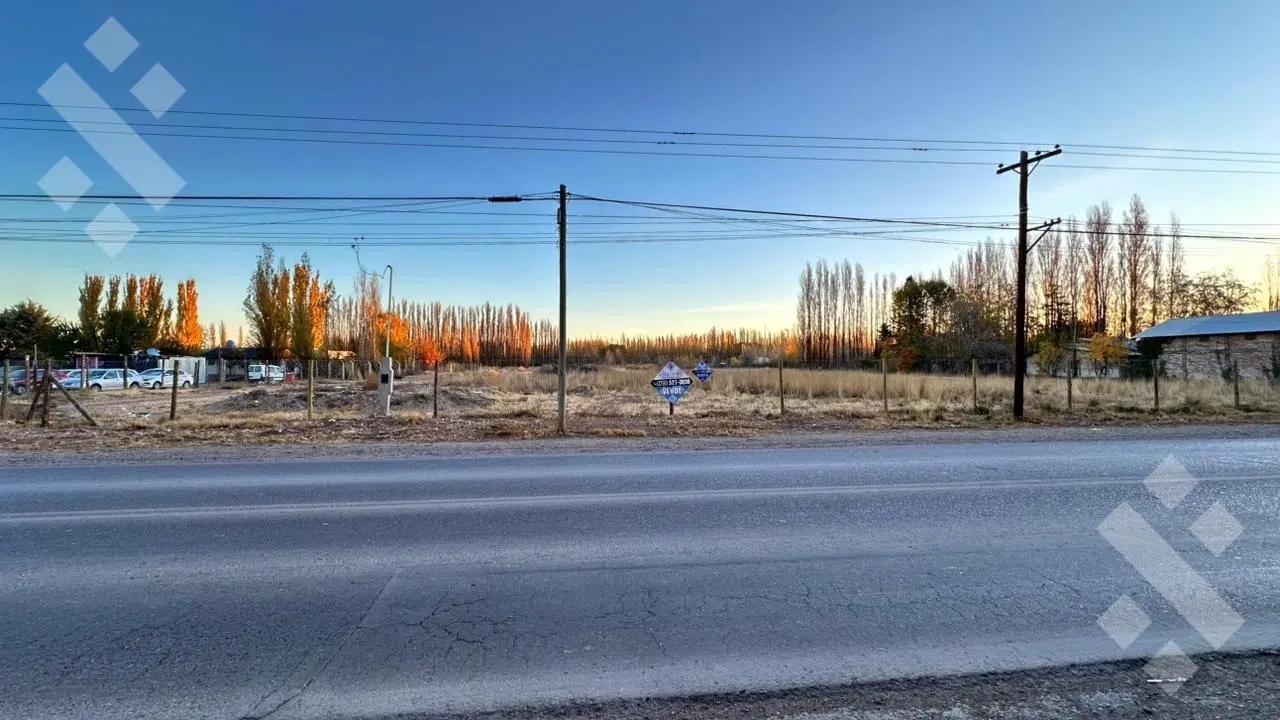 Alquiler Terreno 3 HA - Calle Río Colorado - Plottier - Neuquén 5