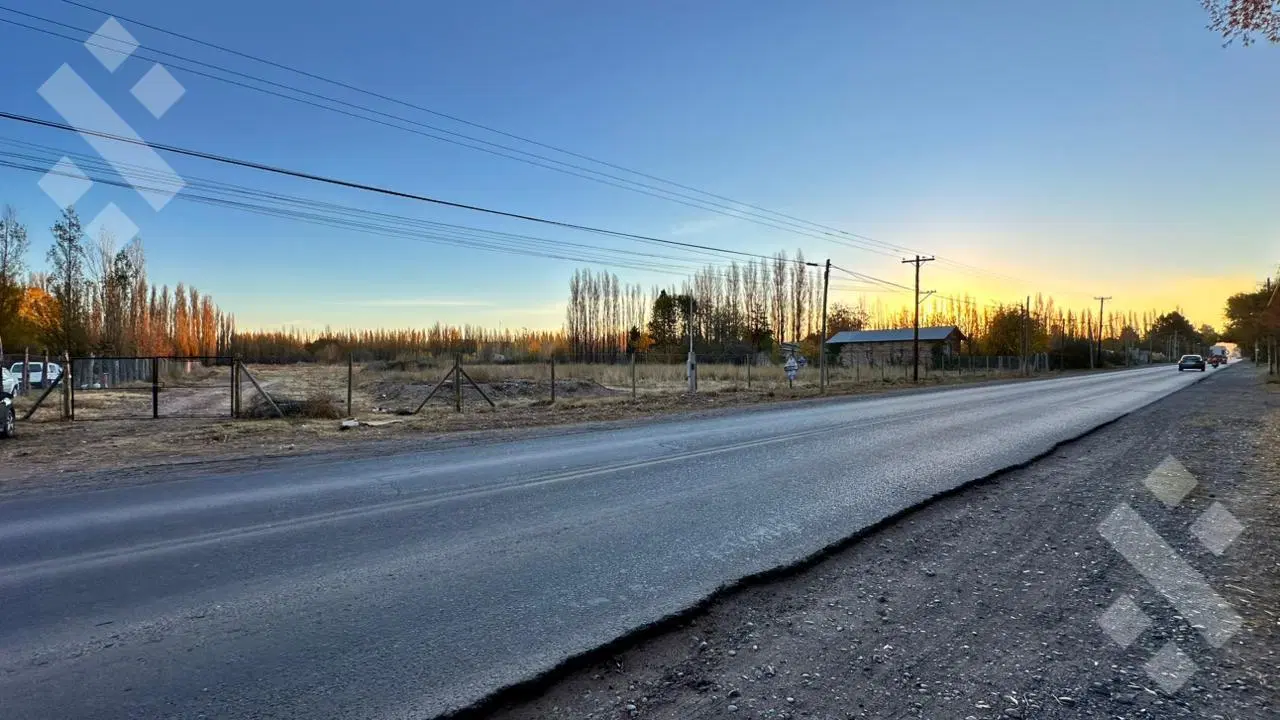 Alquiler Terreno 3 HA - Calle Río Colorado - Plottier - Neuquén 2