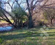 Venta 8 hectáreas - B.º La Cascada - Callejón de Bello - San Martin de los Andes 5