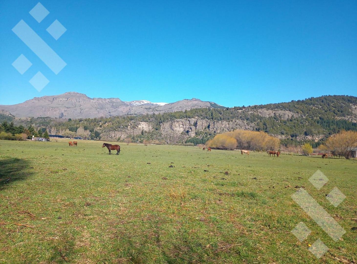 Venta 8 hectáreas - B.º La Cascada - Callejón de Bello - San Martin de los Andes