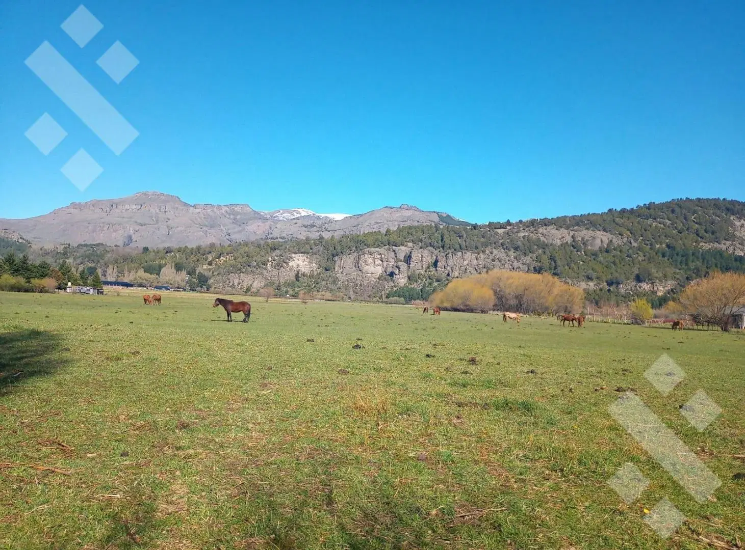 Venta 8 hectáreas - B.º La Cascada - Callejón de Bello - San Martin de los Andes 3