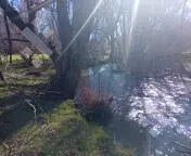 Venta 8 hectáreas - B.º La Cascada - Callejón de Bello - San Martin de los Andes 2