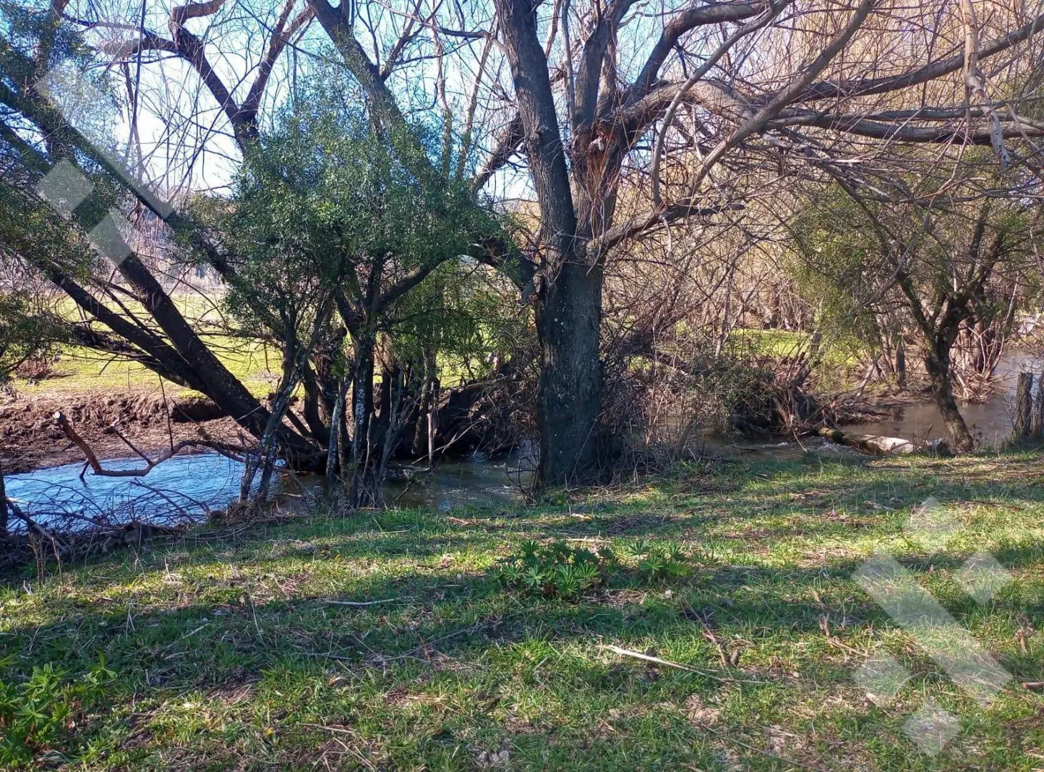 Venta 8 hectáreas - B.º La Cascada - Callejón de Bello - San Martin de los Andes 4