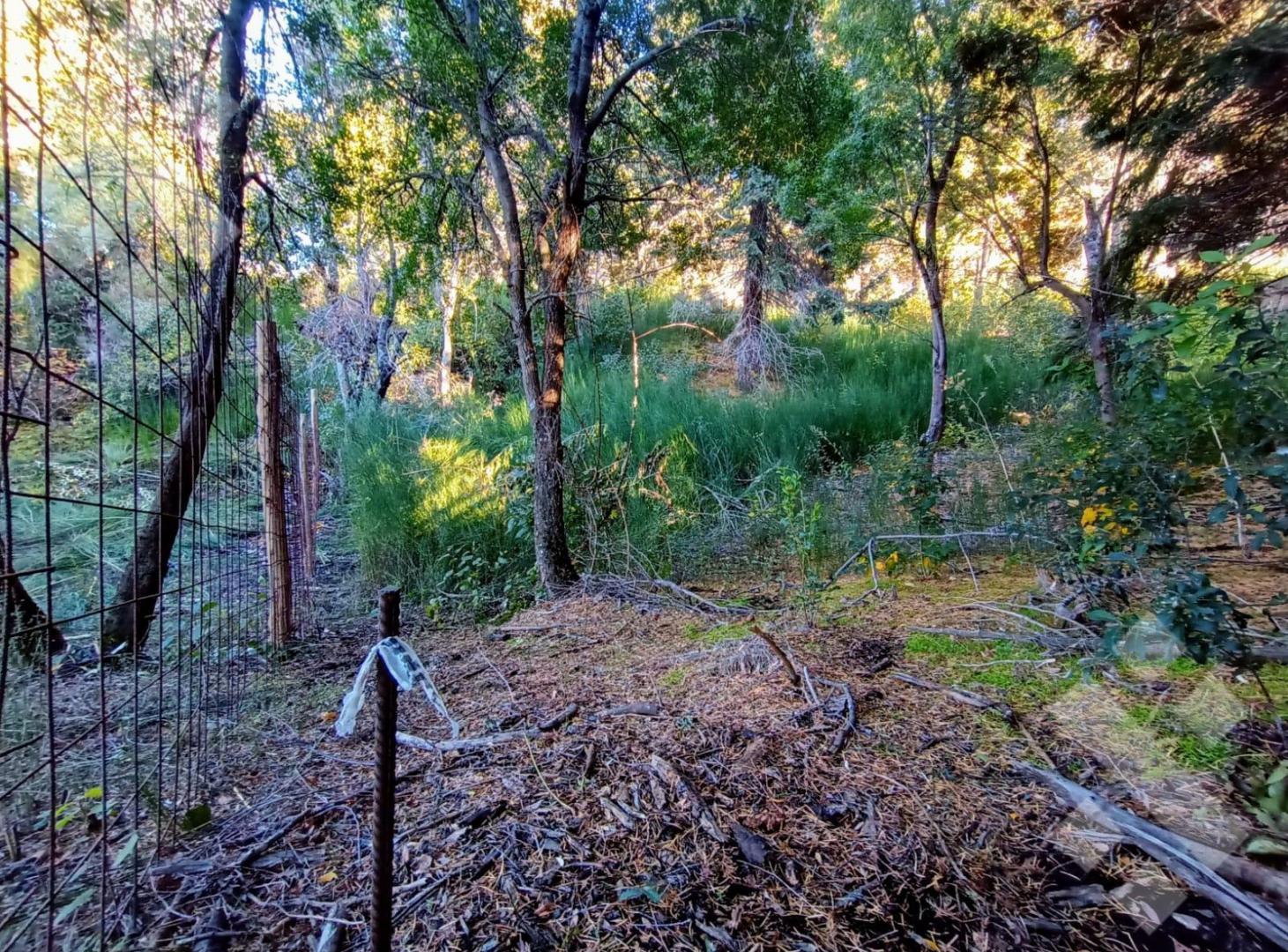 Foto de VENTA LOTE EN ALIHUEN ALTO SAN MARTÍN DE LOS ANDES, imagen 5