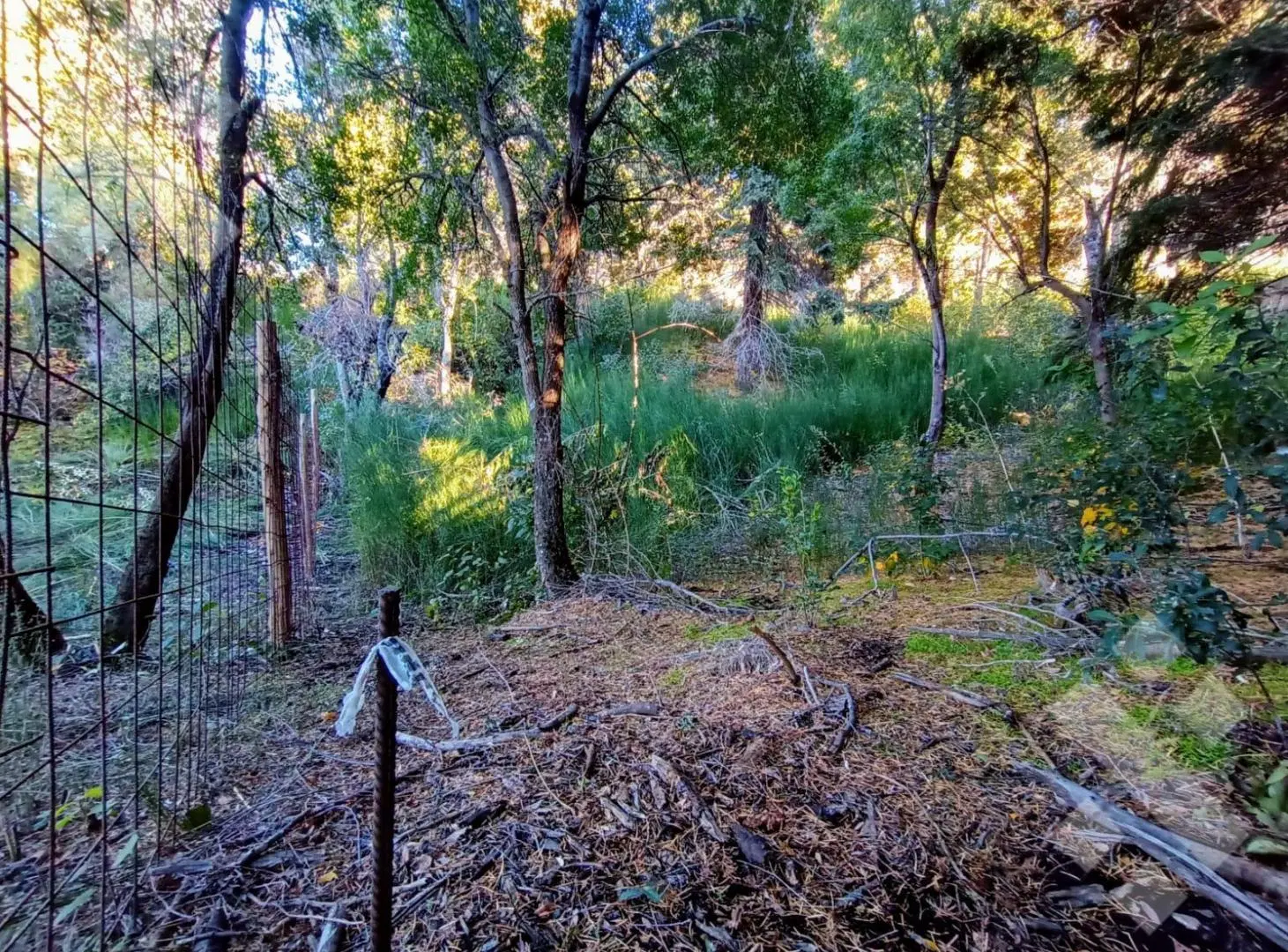 VENTA LOTE EN ALIHUEN ALTO SAN MARTÍN DE LOS ANDES 5