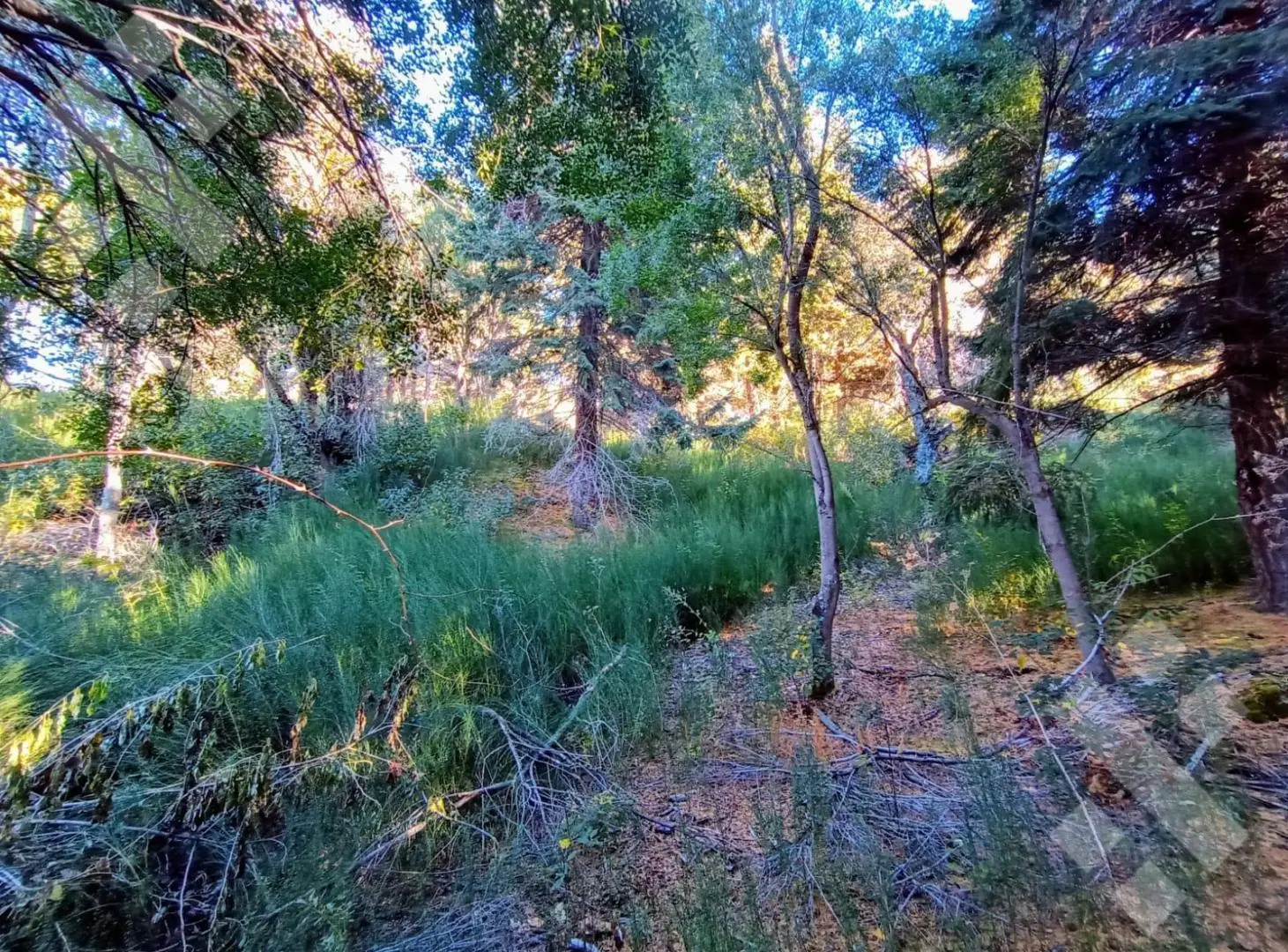 VENTA LOTE EN ALIHUEN ALTO SAN MARTÍN DE LOS ANDES 8