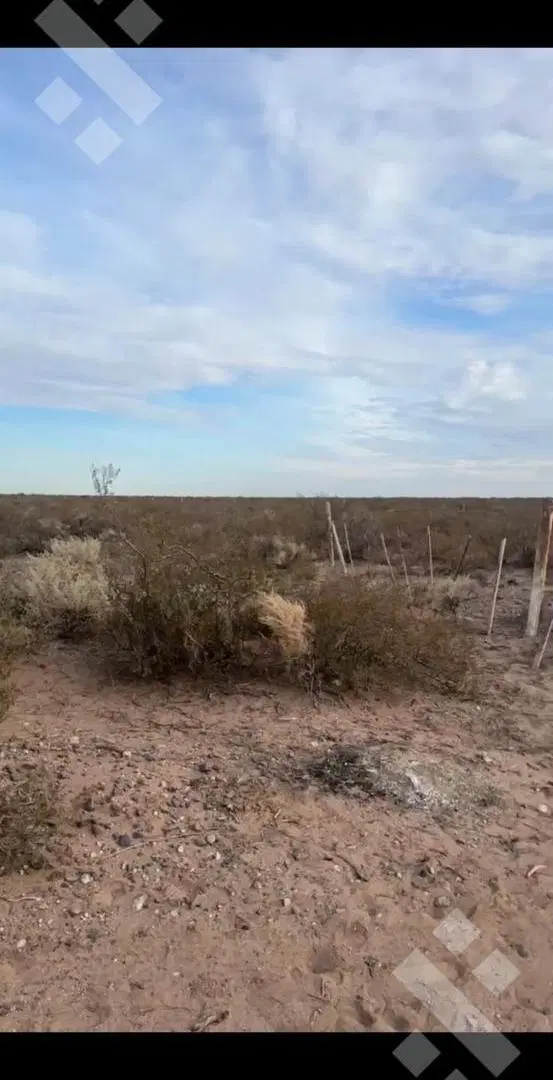 EN VENTA | 10 HECTÁREAS | LA MESETA | NEUQUÉN 3