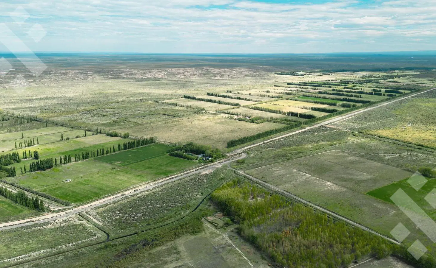 En Venta | Campo en Catriel | 1133 Has | Ruta Provincial 57 3