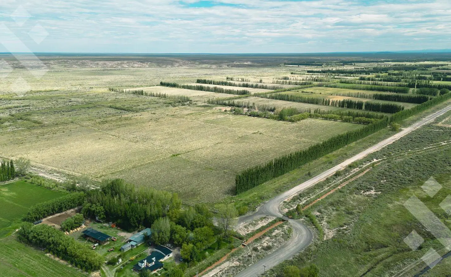 En Venta | Campo en Catriel | 1133 Has | Ruta Provincial 57 5